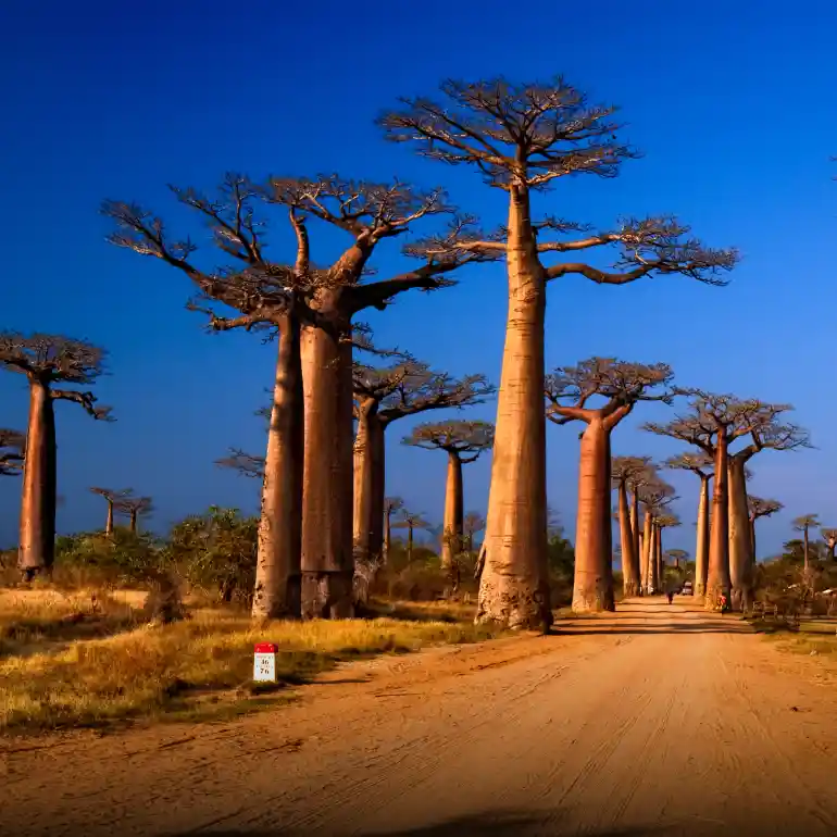 Madagascar eSIM